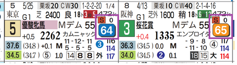 リンクスティップ（近２走）
