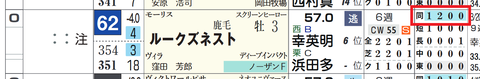 ルークズネスト(「距離実績」)
