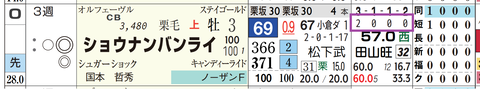 ショウナンバンライ(「ダート成績」)