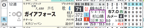 ガイアフォース(杉山厩舎)