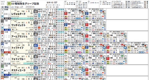 弥生賞１
