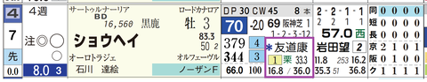 ショウヘイ（友道厩舎）