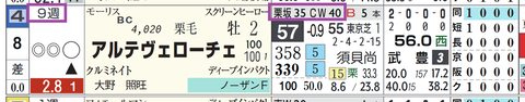 アルテヴェローチェ(「追切指数」)