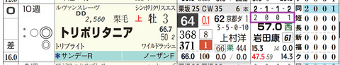 トリポリタニア（「ダート成績」）