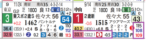 ライヒスアドラー（新馬）