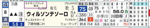 ウィルソンテソーロ(キタサンブラック産駒)
