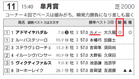アドマイヤハダル(ルメール騎手)