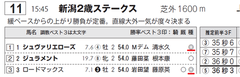 シュヴァリエローズ（ディープインパクト産駒）