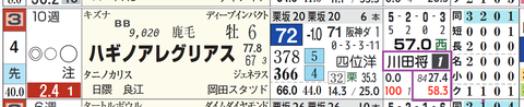 ハギノアレグリアス(川田騎手)
