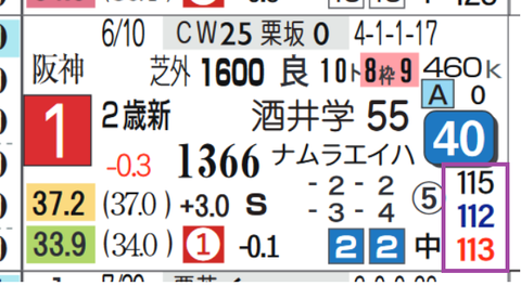 ヒヒーン（新馬戦）