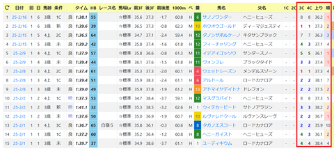 東京ダート1600mの傾向