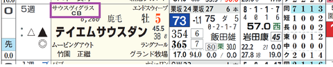 テイエムサウスダン（「血統評価」）