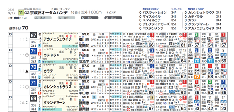 京成杯ＡＨの想定版（ライト版・ヨコ）