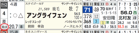 アングライフェン