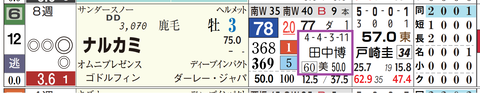 ナルカミ（田中博厩舎）
