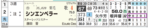 シンエンペラー(「コース実績」)