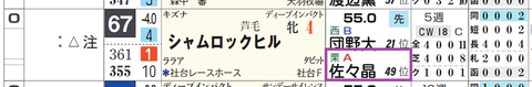 シャムロックヒル(佐々木厩舎)