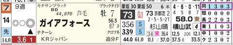 ガイアフォース（「距離実績」「コース実績」）