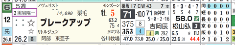 ブレークアップ（転厩）