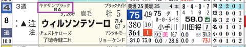 ウィルソンテソーロ(キタサンブラック産駒)