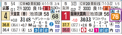 サンライズアース（阪神大賞典）