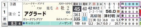 アグラード（「距離実績」「コース実績」）