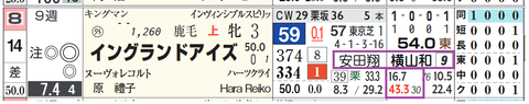イングランドアイズ（「騎手×厩舎成績」）