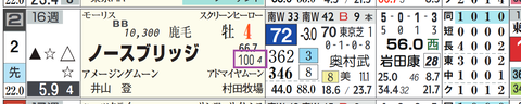 ノースブリッジ(「稍重~不良の複勝率」)