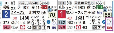 ココナッツブラウン(2走前)