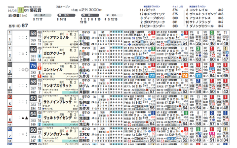 菊花賞（ライト・想定）