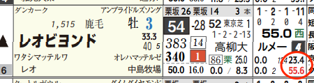 ハイブリッド新聞レース選択