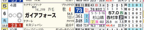 ガイアフォース（杉山厩舎）