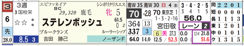 ステレンボッシュ（レーン騎手）