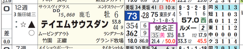 テイエムサウスダン（蛯名厩舎）