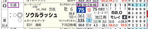 ソウルラッシュ(「追切指数」)
