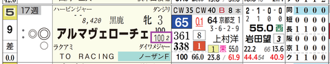 アルマヴェローチェ（「稍重～不良の複勝率」）
