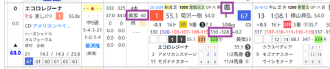 エコロレジーナ