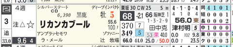 リカンカブール(「コース実績」)