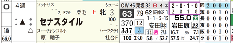 セナスタイル(「芝成績」「ダート成績」)