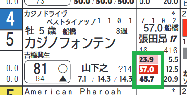 カジノフォンテン(「騎手×厩舎成績」)