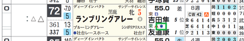 ランブリングアレー（２頭出し以上は「＊」で表示）