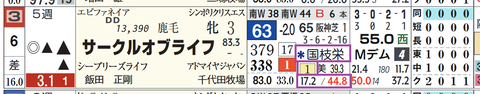 サークルオブライフ（国枝厩舎）