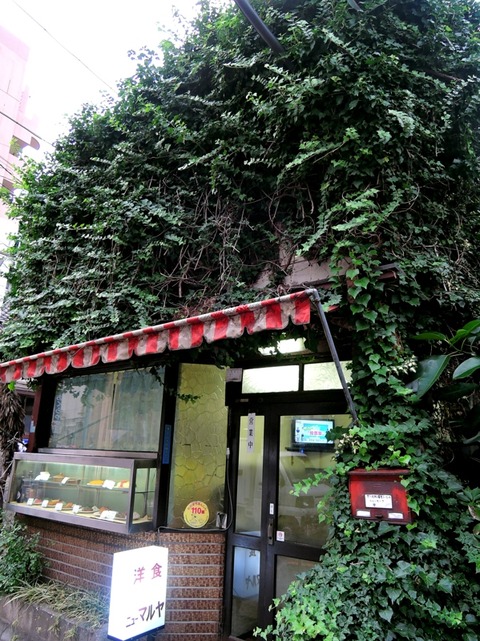 DSCN5046