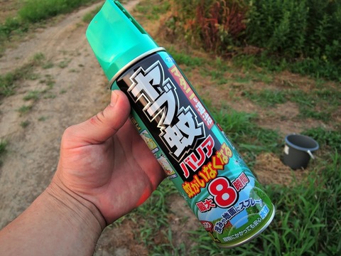 DSCN5356