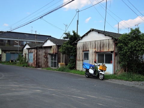 DSCN5568