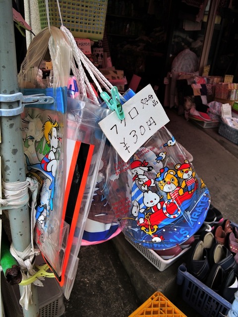 DSCN5498