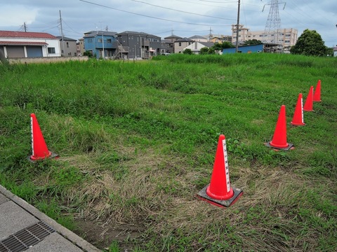 DSCN5139
