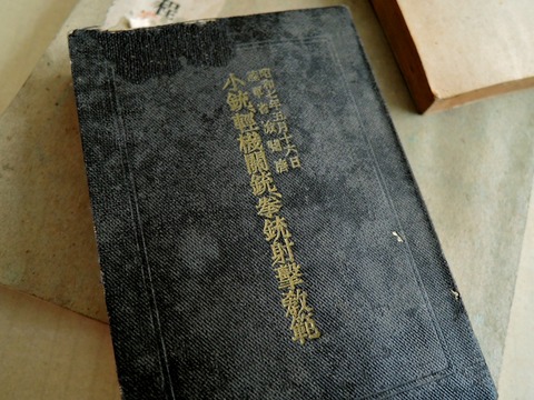 DSCN5197