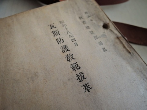 DSCN5195