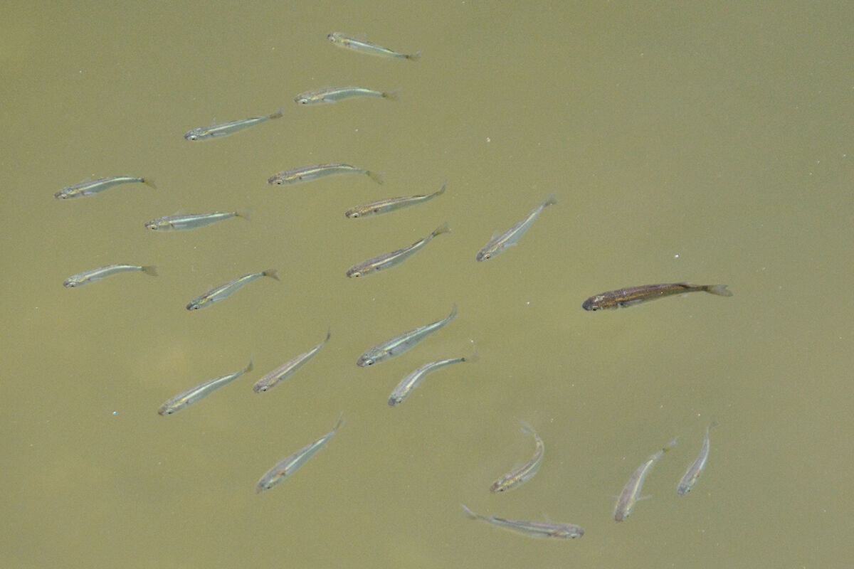 本日の兵庫運河